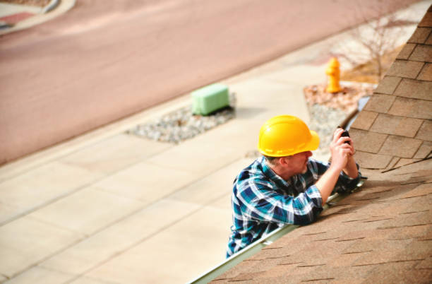 Best Roof Gutter Cleaning  in Homedale, ID
