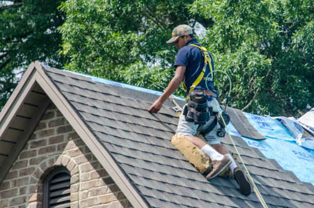 Best Roof Gutter Cleaning  in Homedale, ID